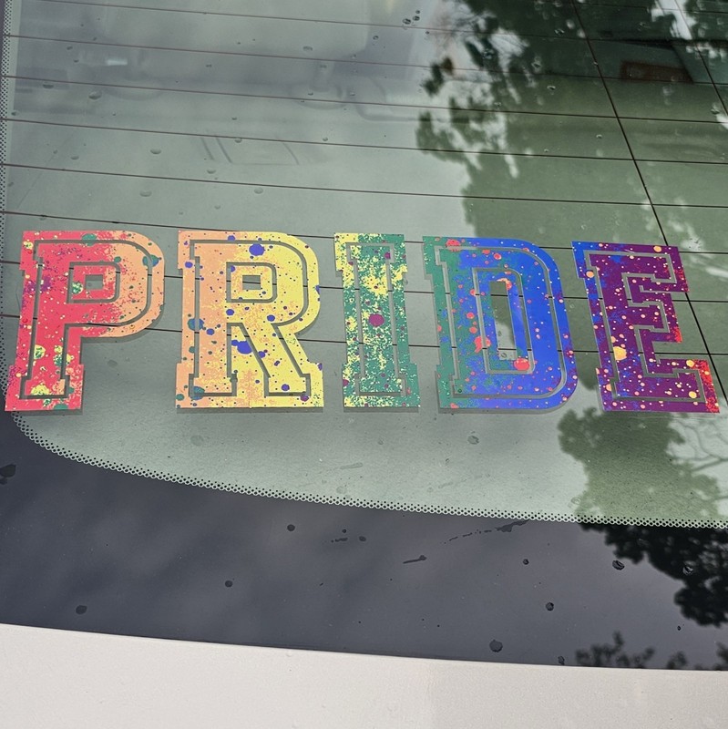 11" Vinyl Pride Bumper Sticker Wall Art Locker Skateboard Dorm Decal Permanent gallery