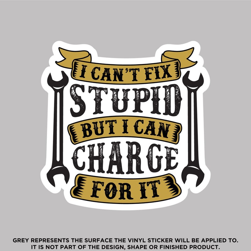 I can’t fix stupid but I can charge for it