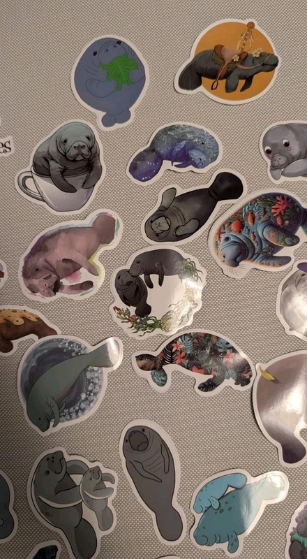 MYSTERY MIXED LOT OF 10 MANATEE GRAPHIC DECAL STICKER ART CAR WALL LAPTOP DECOR gallery
