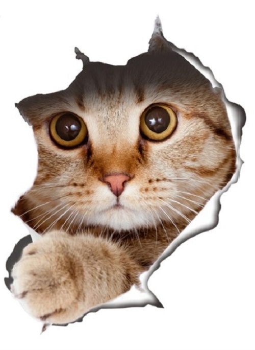 CAT IN A HOLE 3D Removable 10″ x 7.5″ Die-cut Wall / Refrigerator Decal (#14109)