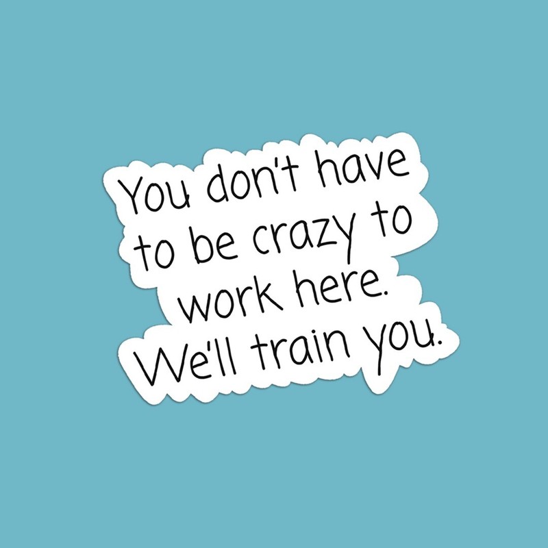 Funny Vinyl HR Sticker: You Don't Have to Be Crazy to Work Here, We'll Train You gallery