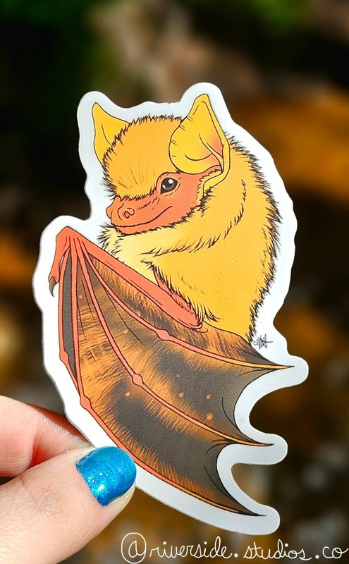 Painted Butterfly Bat Vinyl Sticker 3″ Original Wildlife Art