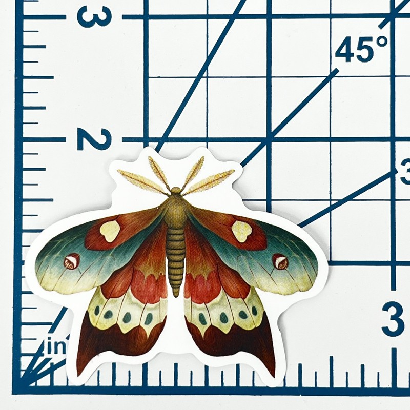 Io Moth Vinyl Sticker Vintage Butterfly Insect Journal Laptop Scrapbook Craft gallery
