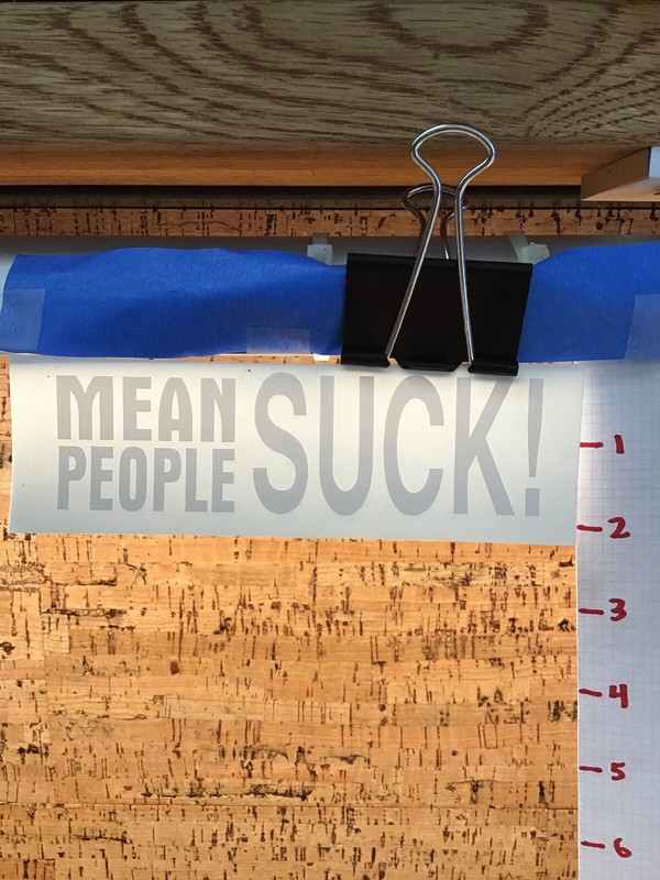 Mean People Suck 1 – White – Vinyl Sticker Decal – Y7-1.230