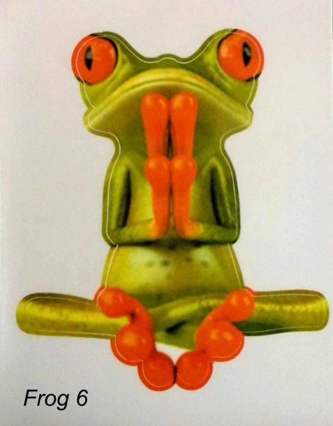 LARGE-SIZED CAR DECALS - FROG - 9 CHOICES gallery