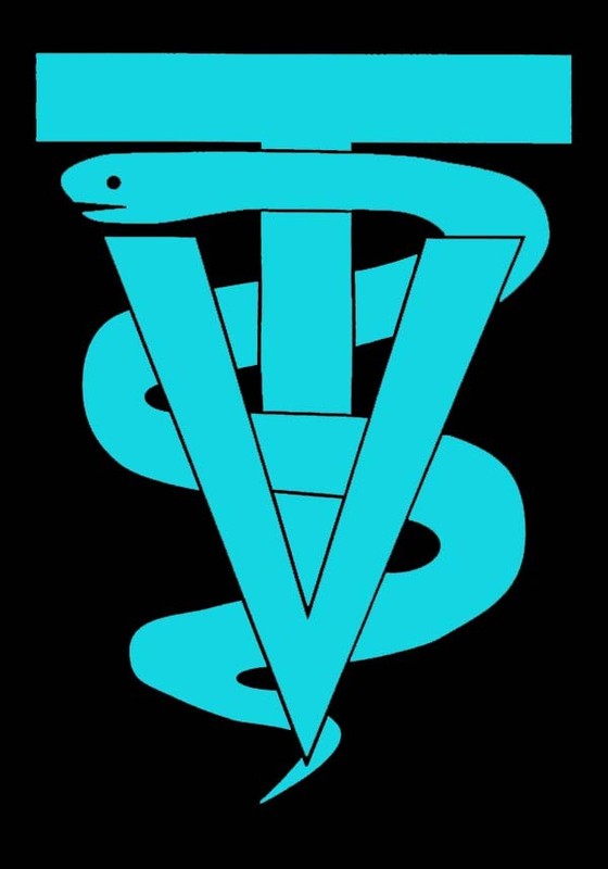 VETERINARY Tech Doctor DVM tech medical decal sticker vet set (2 Decals)