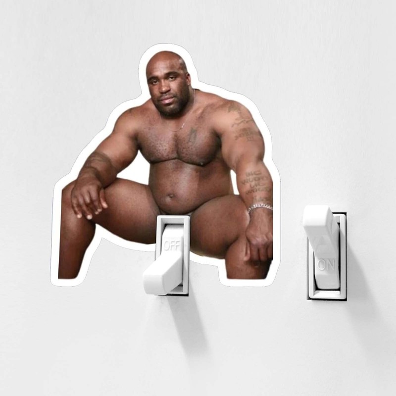 10pcs Funny Barry Wood Light Switch Sticker Decals, Waterproof Vinyl gallery