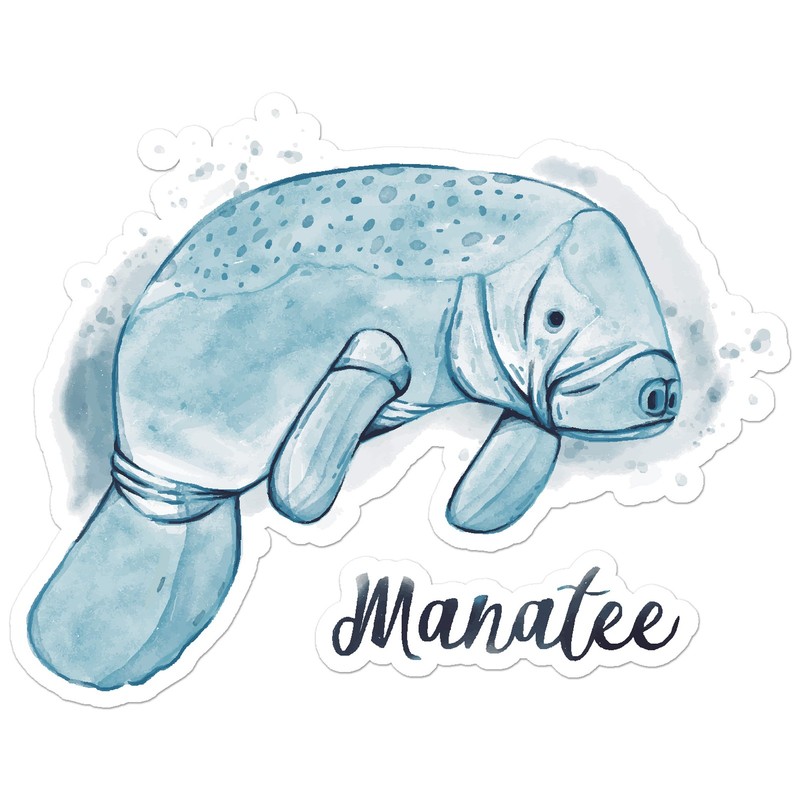 Manatee Sea Cow – Vinyl Decal Sticker – Car Window Laptop – ebn7770