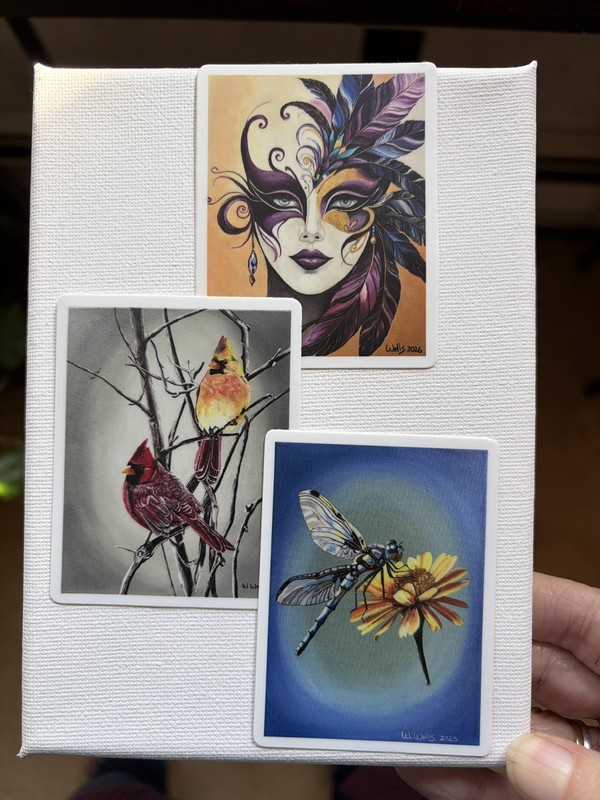 Sticker, set of 3, birds, mask, dragonfly