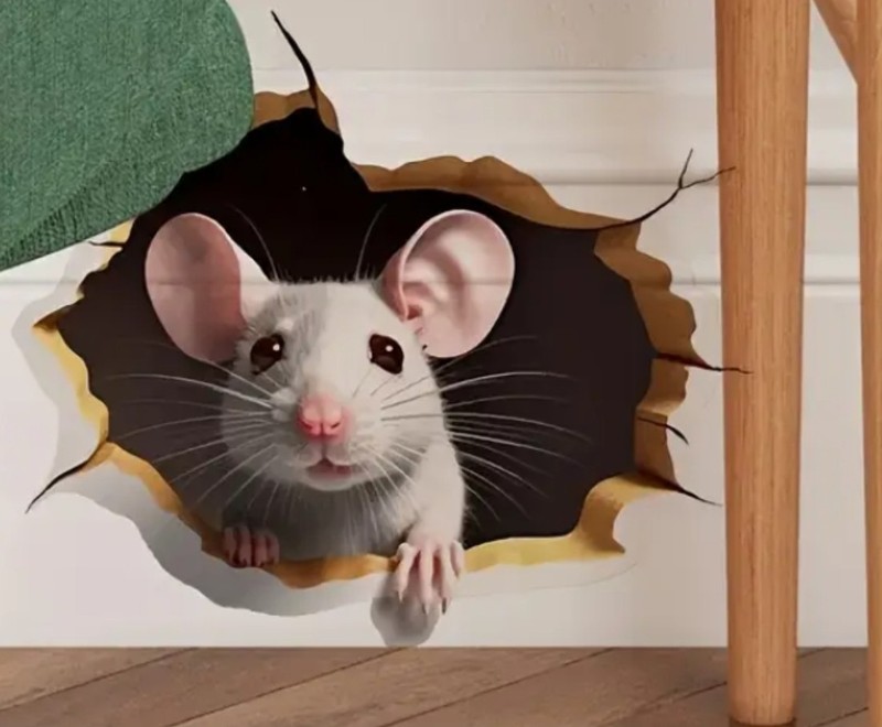 🤣1x Decal Prank Rat Mouse Hole In Wall Sticker Adhesive Room Bedroom Reusable gallery