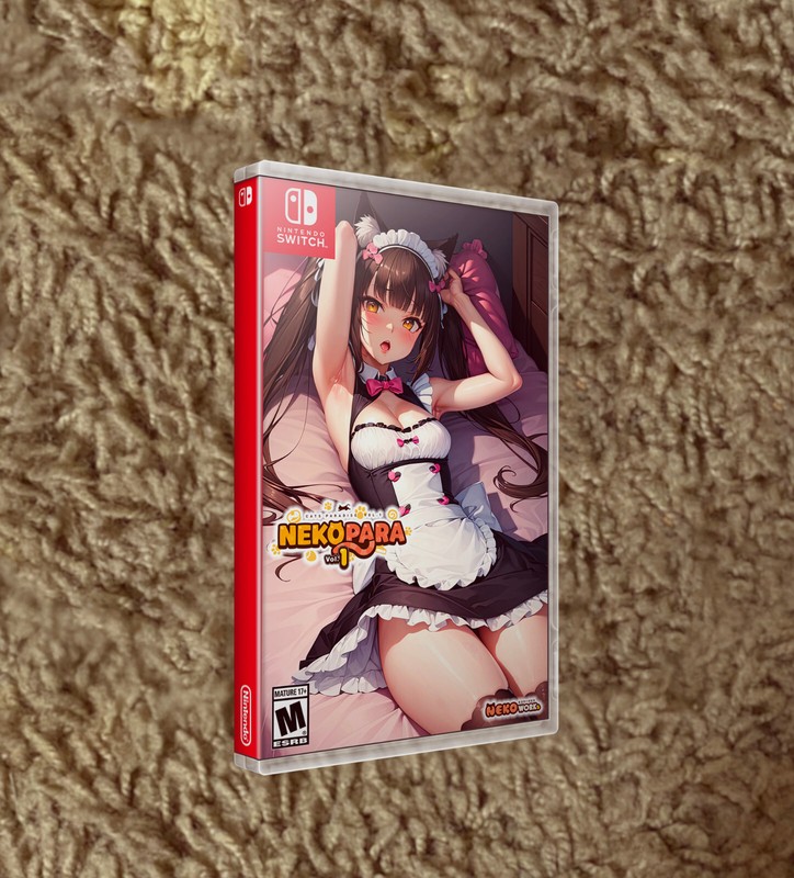 DOUBLE SIDED COVERS ONLY Nekopara 1 | 2 | 3 | 4 | SWITCH | NO GAME NO CASE
