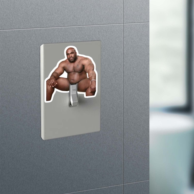 10pcs Funny Barry Wood Light Switch Sticker Decals, Waterproof Vinyl gallery