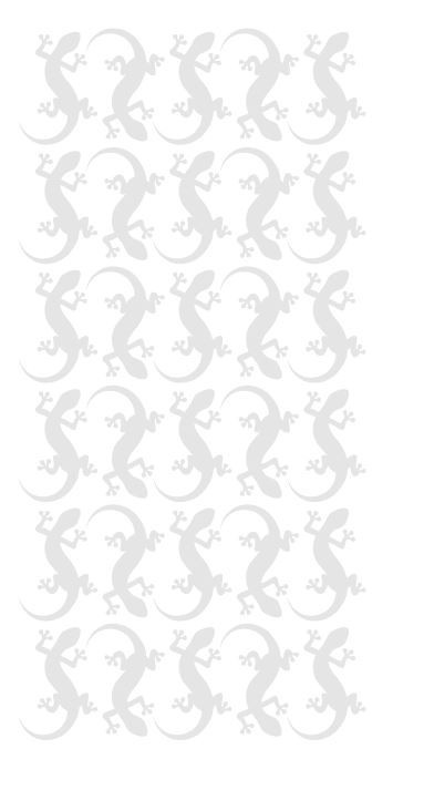 Lizard Stickers Sticker 1-1/4″ DC35-072 Light Grey