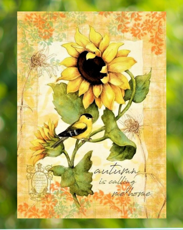 Sunflower Goldfinch Autumn WINDOW CLING Size 10.6" Repositionable Vinyl gallery