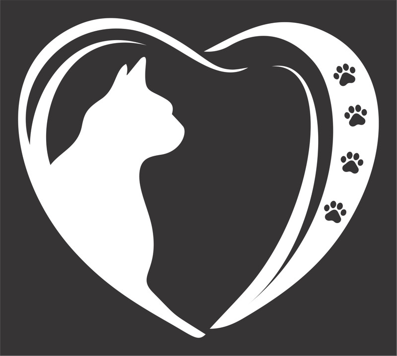 I Heart my Cat Decal Sticker Car Truck SUV RV Window Bumper Laptop Tablet gallery