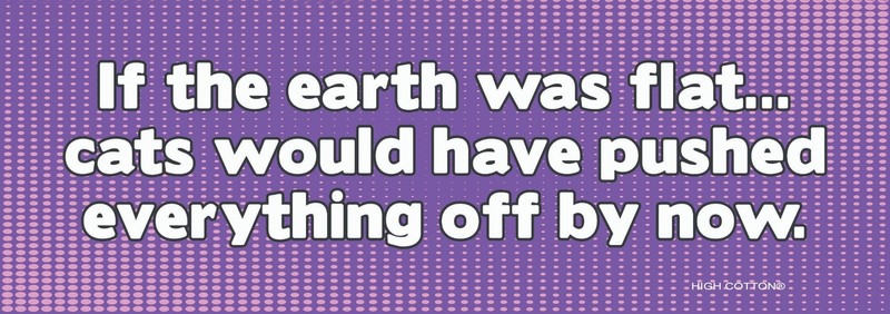 😺”If Earth Was Flat … Cats Would Have” Funny Bumper Car Magnet | Made in USA