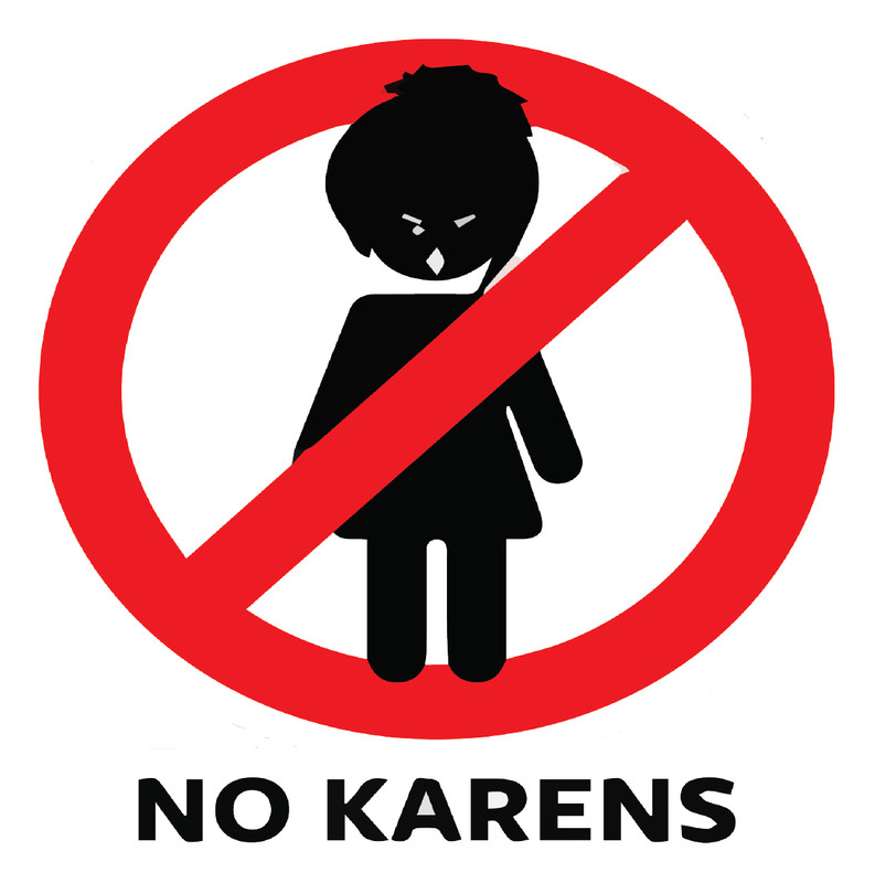 No KARENS Funny Not Allowed Decal Trending 2 PACK HIGH GLOSS Vinyl Sticker gallery