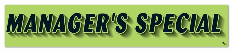 Vinyl Windshield Slogans Stickers - Fluorescent Green, 12 Pack, 14.5"x2.75"