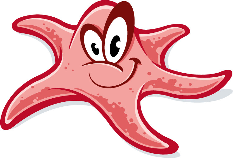 Funny Starfish Big Eyes Car Bumper Sticker Decal