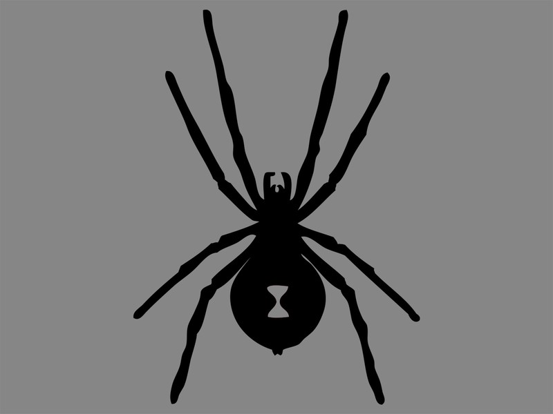 SPIDER Black Widow Silhouette Permanent Vinyl Decal Waterproof Sticker
