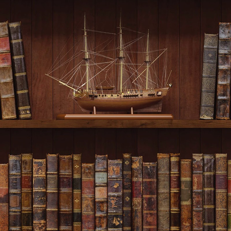 Dementia Friendly Door Mural - Fake Bookshelf | Antique Books | Renter-Friendly gallery