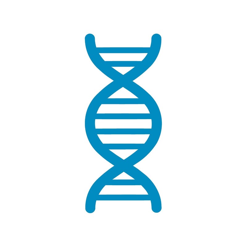 DNA Double Helix Vinyl Decal Car Window Laptop Science Sticker