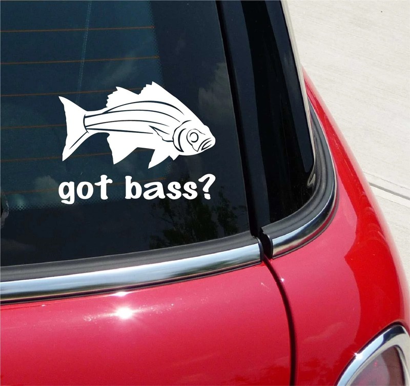 GOT BASS? FISH FISHING GRAPHIC DECAL STICKER ART CAR WALL DECOR