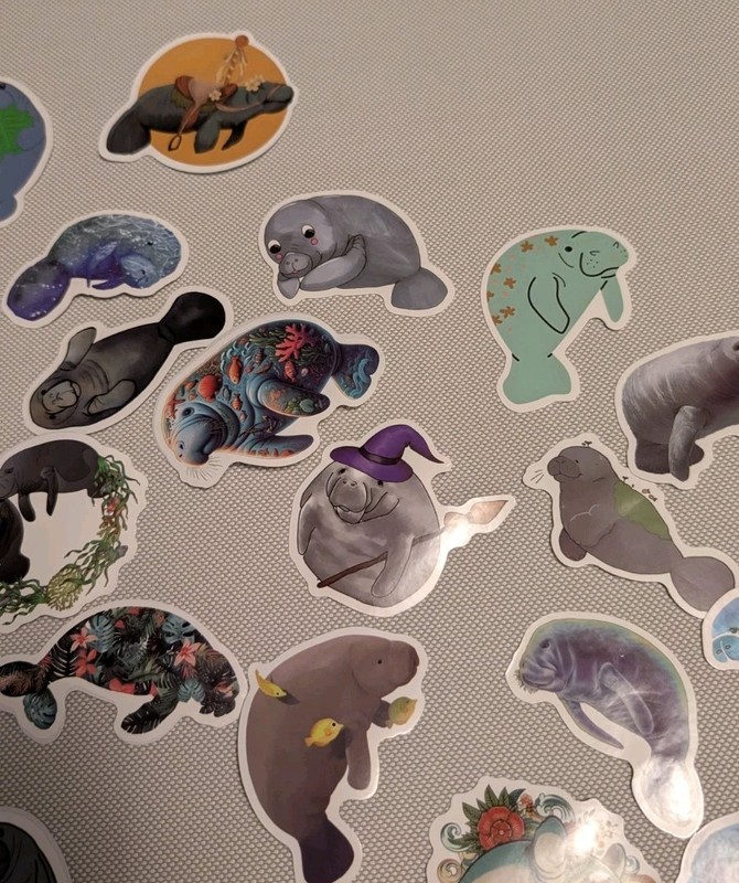 MYSTERY MIXED LOT OF 10 MANATEE GRAPHIC DECAL STICKER ART CAR WALL LAPTOP DECOR gallery