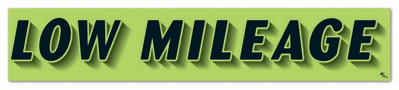 Vinyl Windshield Slogans Stickers - Fluorescent Green, 12 Pack, 14.5"x2.75"