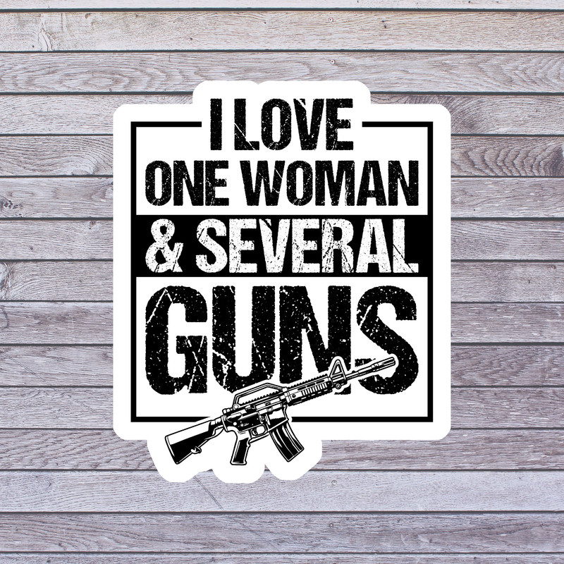 Gun Humor sticker vinyl decal i love one woman and several guns funny firearm