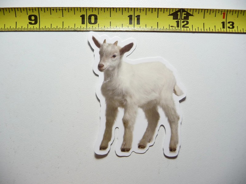 BABY GOAT SMALL STICKER DECAL WILDLIFE PRESERVE NATURE ANIMAL FUNNY