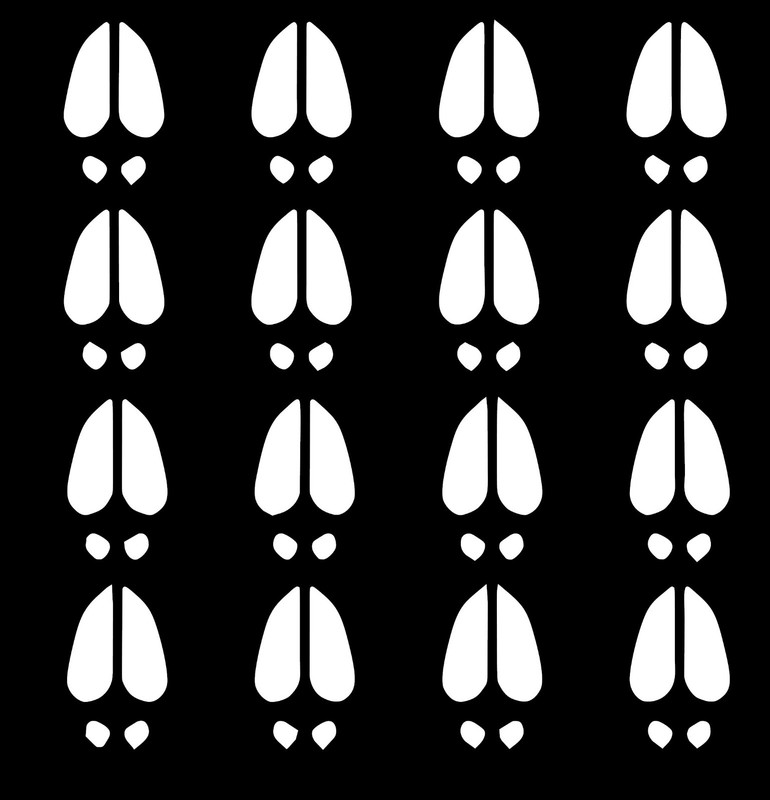 Deer Track Prints 16-Pack | 2.5-Inches Premium Quality Decal Vinyl