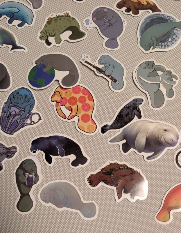 MYSTERY MIXED LOT OF 10 MANATEE GRAPHIC DECAL STICKER ART CAR WALL LAPTOP DECOR gallery
