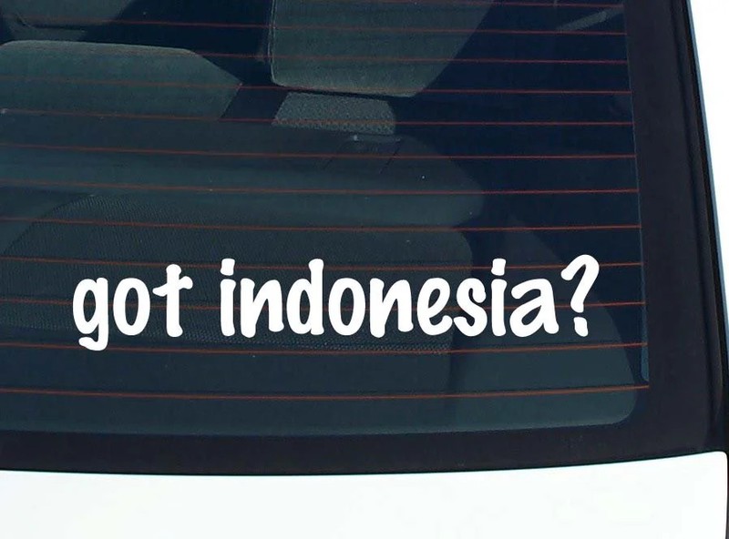 got indonesia? CAR DECAL BUMPER STICKER VINYL FUNNY JOKE WINDOW