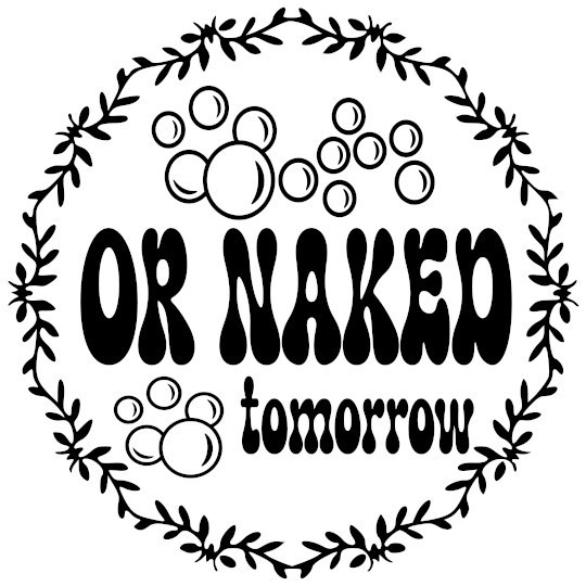 Funny Naked Laundry Dryer Vinyl Decal Sticker #2203D gallery