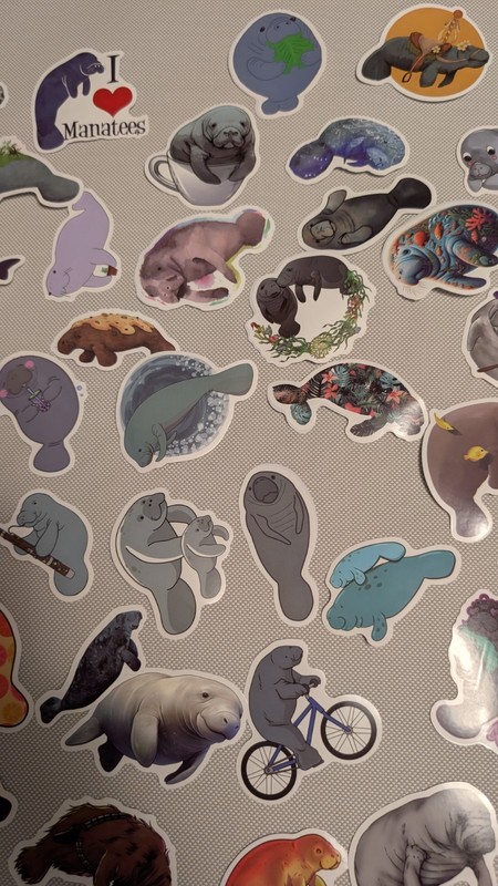 MYSTERY MIXED LOT OF 10 MANATEE GRAPHIC DECAL STICKER ART CAR WALL LAPTOP DECOR gallery