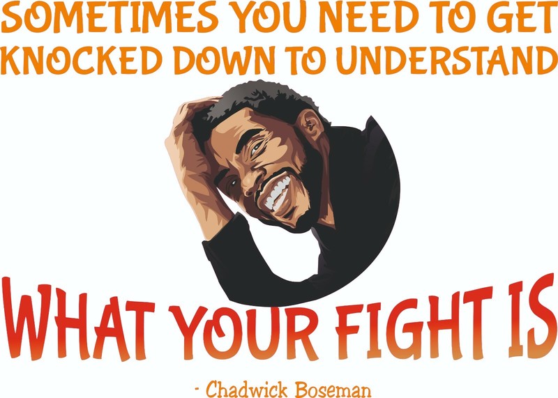 Home Art Black Panther Wakanda Forever Chadwick Boseman Vinyl Wall Decal Sticker