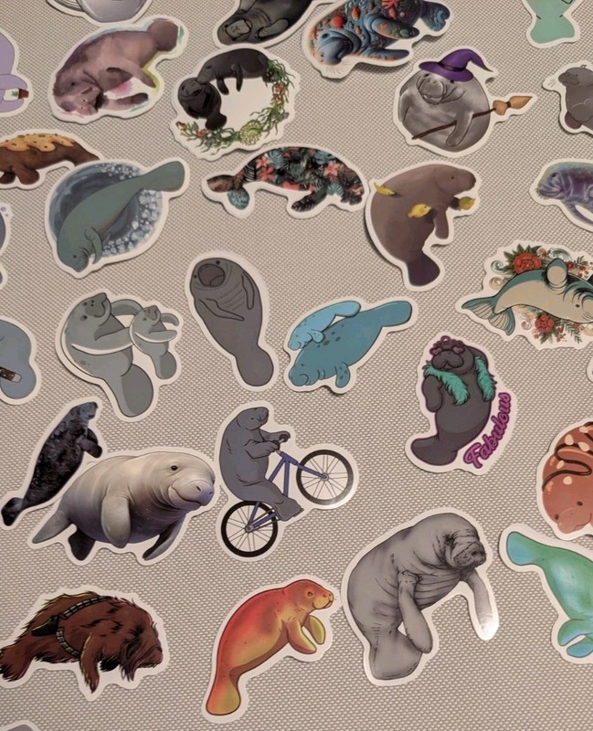 MYSTERY MIXED LOT OF 10 MANATEE GRAPHIC DECAL STICKER ART CAR WALL LAPTOP DECOR gallery