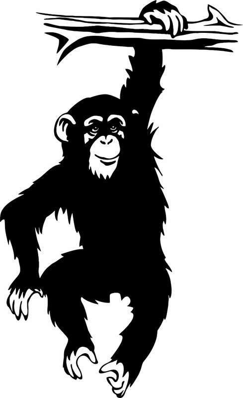 Chimp Monkey Chimpanzee Ape Animal Wall Decor Mural Vinyl Decal