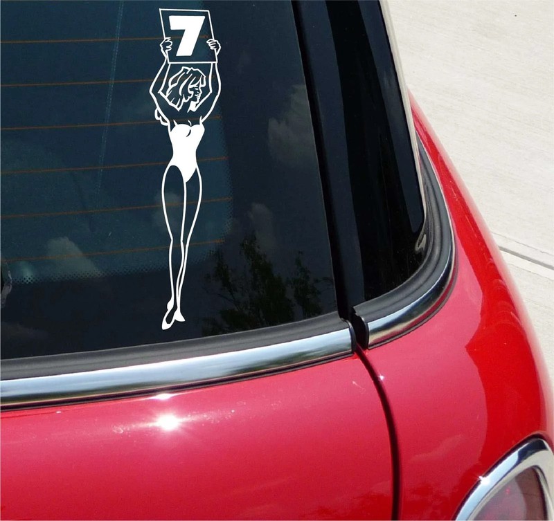SEXY BOXING RING RINGSIDE GIRL FUNNY DECAL STICKER ART CAR WALL