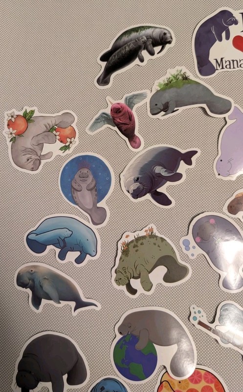 MYSTERY MIXED LOT OF 10 MANATEE GRAPHIC DECAL STICKER ART CAR WALL LAPTOP DECOR gallery