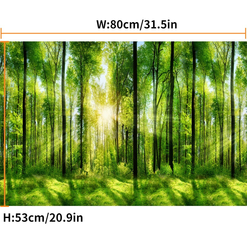 1x 3D Forest Wall Mural Landscape Wallpaper Art wall Paint Removable Sticker gallery