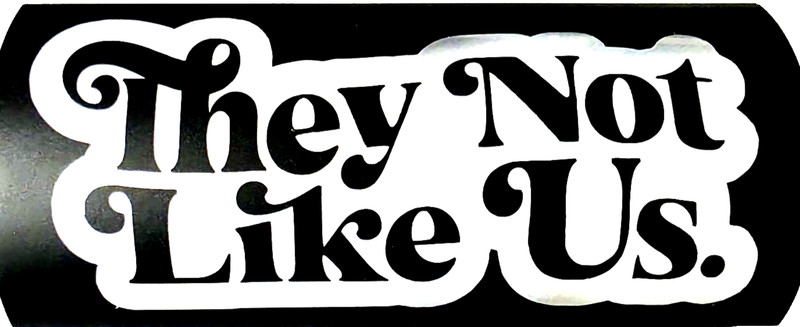 They Not Like Us Vinyl Decal Sticker Waterproof 3×6 Inches White or Black 1/25