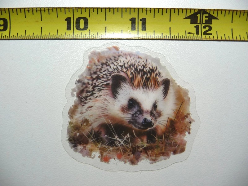 HEDGEHOG SMALL STICKER DECAL WILDLIFE COLORFUL ZOO FUNNY