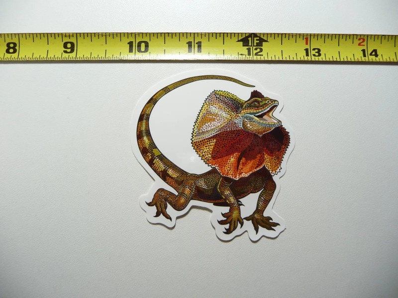 FRILL NECK LIZARD SMALL STICKER DECAL ZOO ANIMAL WILD FUN FUNNY