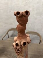 Anemona Picorocos - Imagen 2