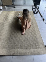 Alfombra  Sisal Diamantes Arena - Imagen 3